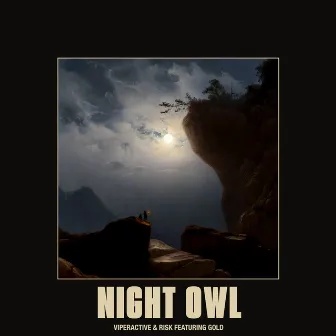 Night Owl by RISK