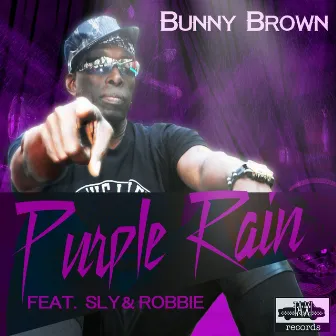 Purple Rain by Bunny Brown