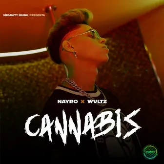 Cannabis by Nayro