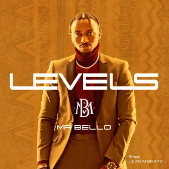 Levels by Mr Bello