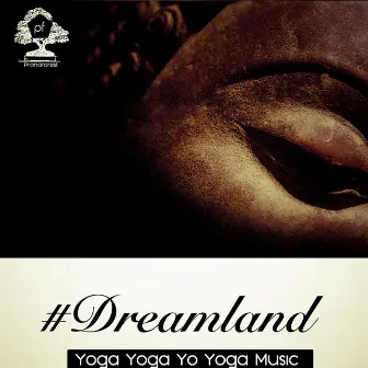 1: 1# Dreamland by Yoga Yo