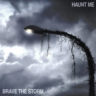 Haunt Me by Brave The Storm