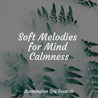 Soft Melodies for Mind Calmness by Schlaflieder Relax