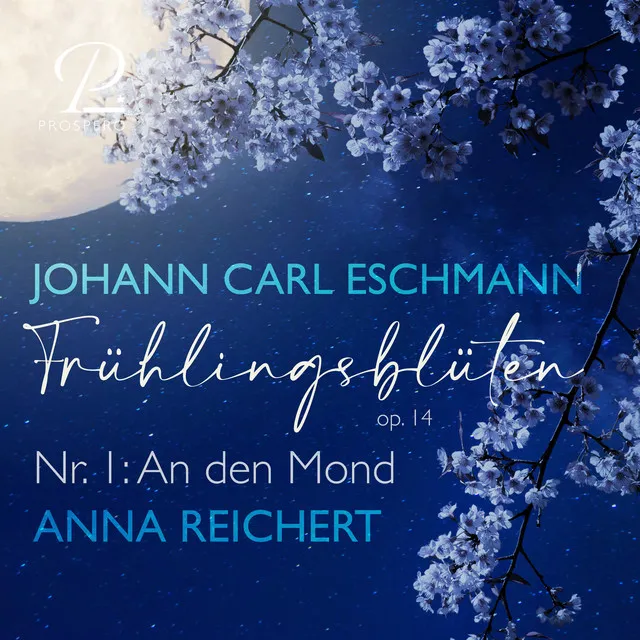 Johann Carl Eschmann