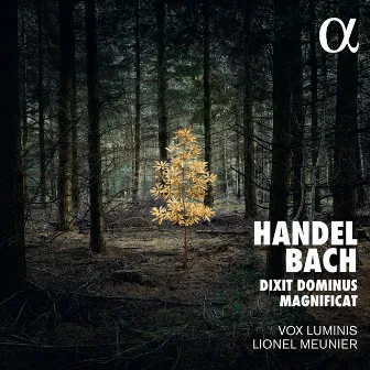 Bach: Magnificat - Handel: Dixit Dominus by Lionel Meunier