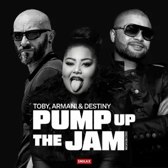 Pump Up The Jam (2022 Rework) by Toby Farrugia