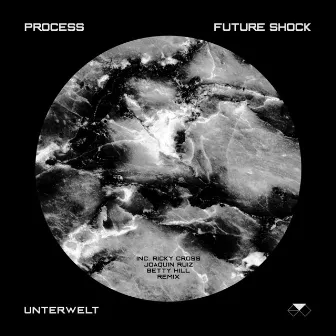 Future Shock by Process