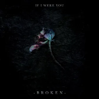 Broken by If I Were You