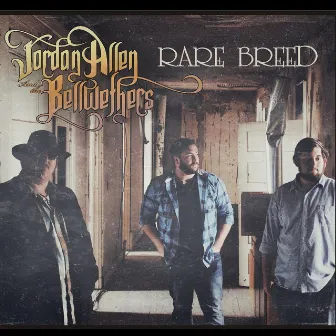 Rare Breed by Jordan Allen & the Bellwethers