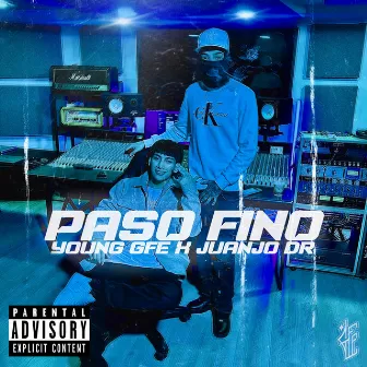 Paso Fino by Young Gfe