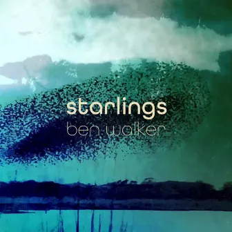 Starlings by Ben Walker