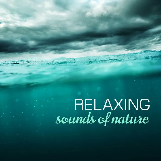 Nature Sound (Learning)