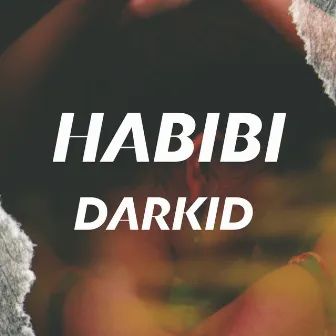 Habibi by Darkid