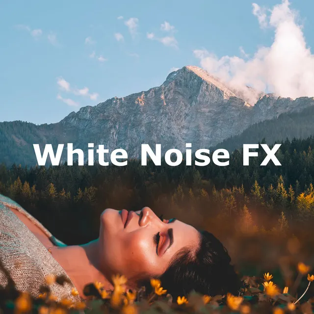 White Noise FX