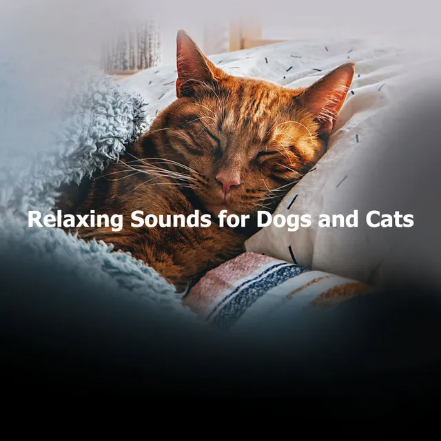 Relaxing Sounds for Dogs and Cats