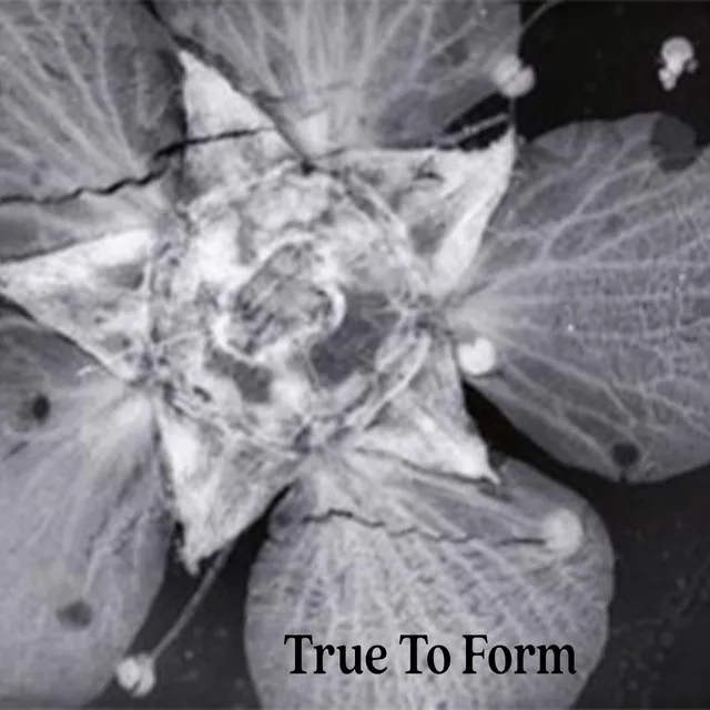 True To Form