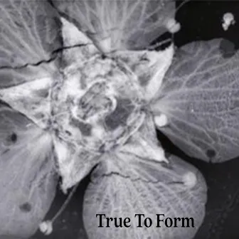 True To Form by Mikey DZZZ