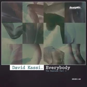 Everybody (Remixes Part 2) by David Kassi