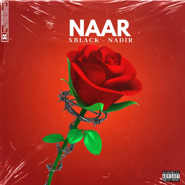 NAAR - Special Version