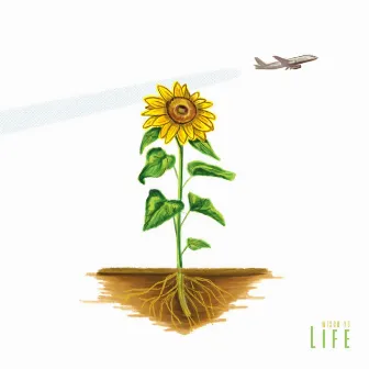 Life by Wisco Y.D.