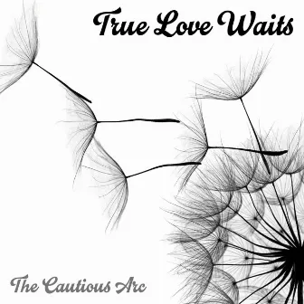 True Love Waits by The Cautious Arc