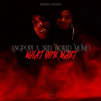 What You Want by 3rd World Momo