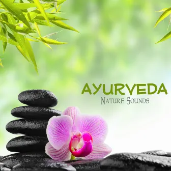 Ayurveda: Relaxation Sounds of Nature for Ayurvedic Massage and Deep Relaxation Meditation, Natural White Noise by Unknown Artist