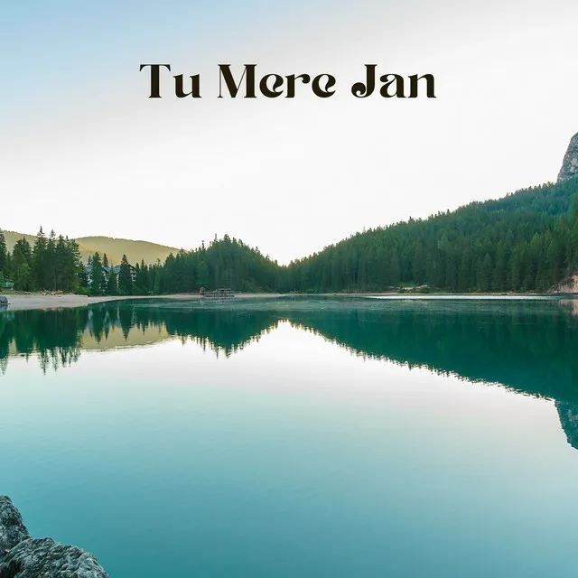 Tu Mere Jan