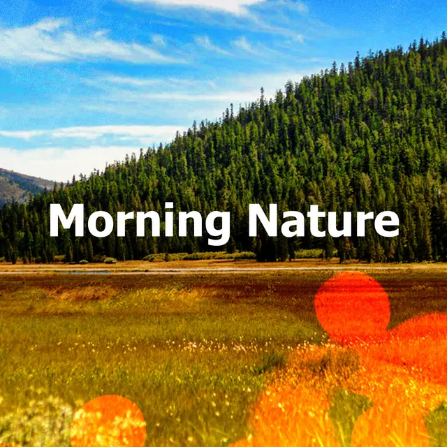 Morning Nature