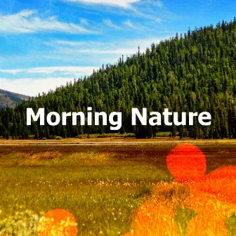 Morning Nature by Outdoor Field Recorders