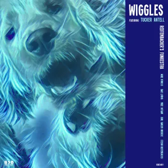 Wiggles by Redtenbacher's Funkestra