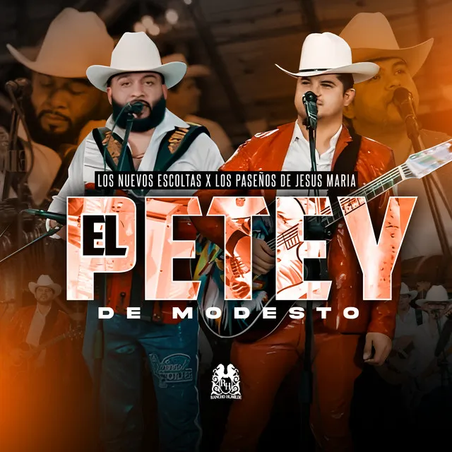 El Petey De Modesto