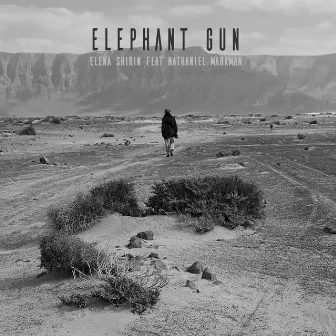 Elephant Gun by Elena Shirin