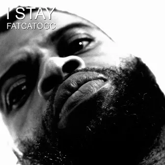 I Stay by Fatcatogc