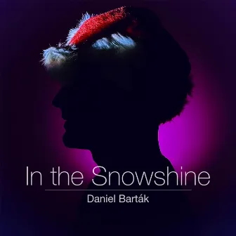 In the Snowshine by Daniel Bartak