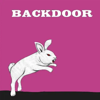 Back Door by Back Door