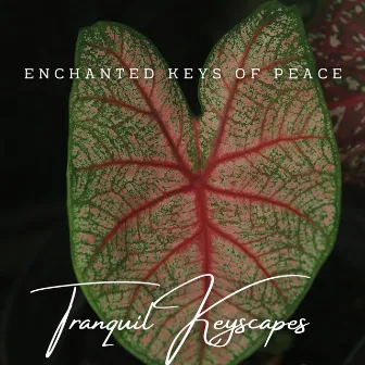 Tranquil Keyscapes: Meditative Piano Melodies by 1 Hour Music