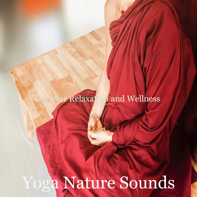 Subtle Soundscapes for Mindfulness and Reiki