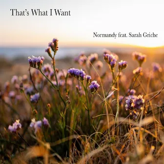 THATS WHAT I WANT (Acoustic Covers Versions) by NORMANDY