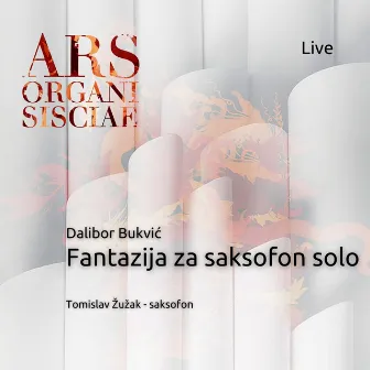 Fantazija za saksofon solo (Live) by Tomislav Žužak