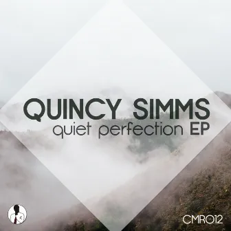 Quiet Perfection by DJ Quincy Ortiz