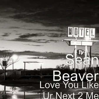 Love You Like Ur Next 2 Me by Sean Beaver