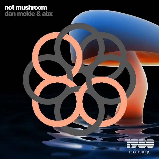 Not Mushroom - 5Udo Remix