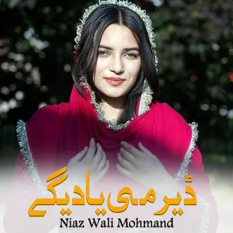 Der Me Yadege by Niaz Wali Mohmand