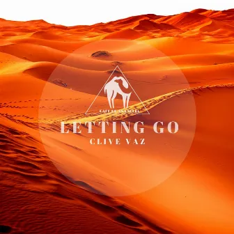 Letting Go by Clive Vaz