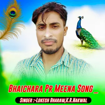 Bhaichara Pr Meena Song _ by 