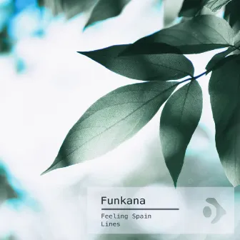 Feeling Spain / Lines by Funkana