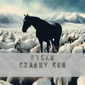 Czarny Koń by Pysku