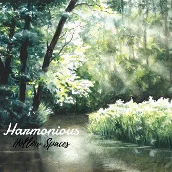 Hollow Spaces by Harmonious