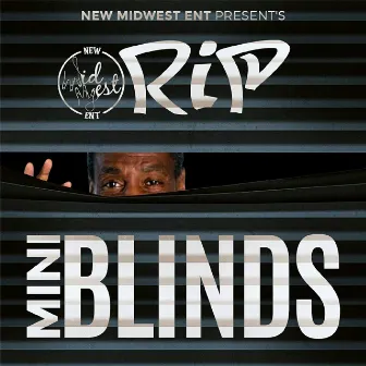 Mini Blinds by Rip